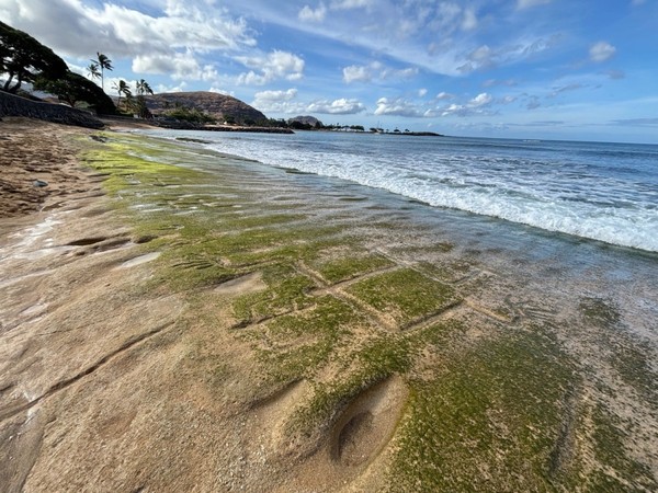 Gravuras de 500 anos ressurgem em praia do Havaí com o recuo da maré